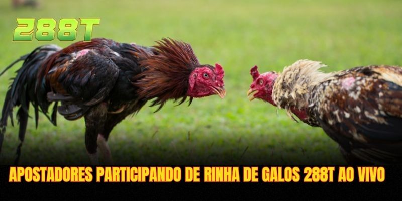 Apostadores participando de rinha de galos 288T ao vivo