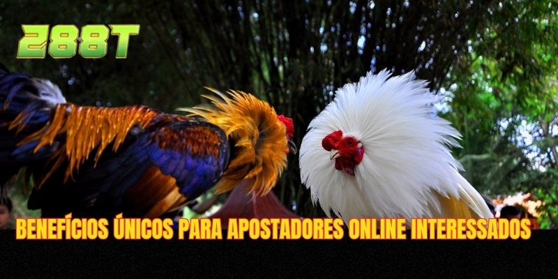 Benefícios únicos para apostadores online interessados