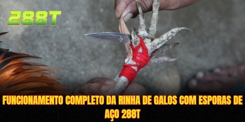 Funcionamento completo da rinha de galos com esporas de aço 288T
