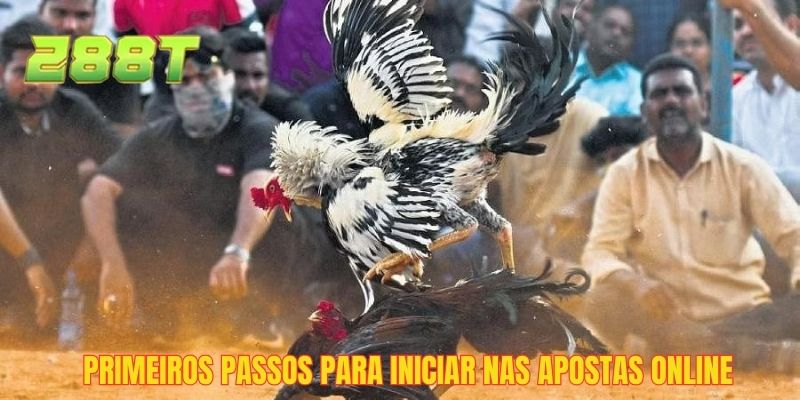 Primeiros passos para iniciar nas apostas online