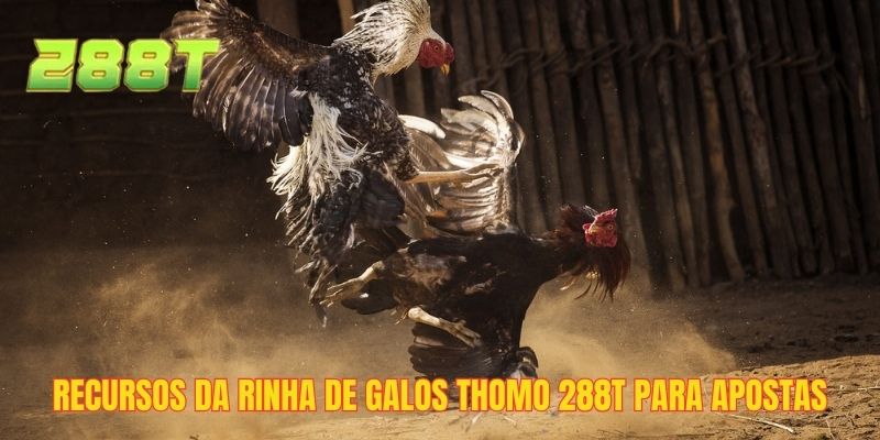 Recursos da rinha de galos thomo 288T para apostas